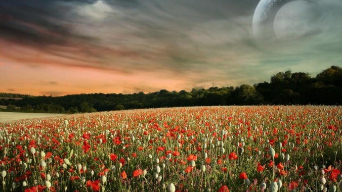 为什么浙江落下的陨石，防空系统没有拦截，它和导弹有什么不同？